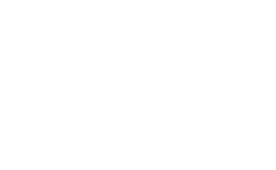 roboconsulting-logo-default-w