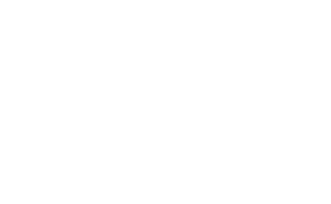 roboconsulting-logo-default-w